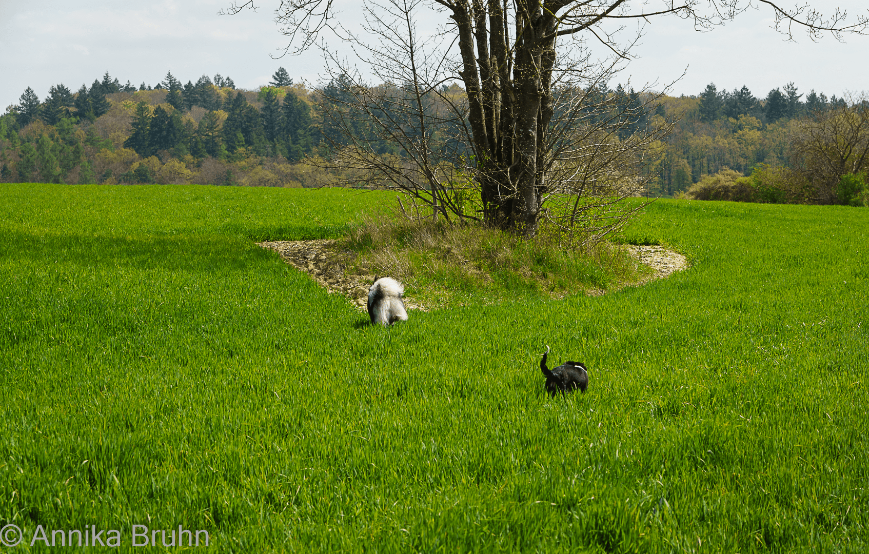 Warte, ich komme! Q mit seiner neuen Freundin!